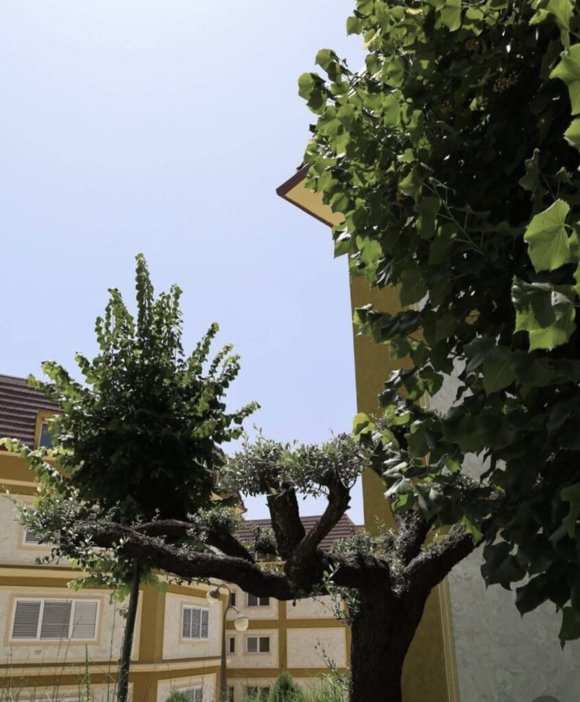 APARTAMENT 2+1+2 PËR SHITJE – LAKE LAND